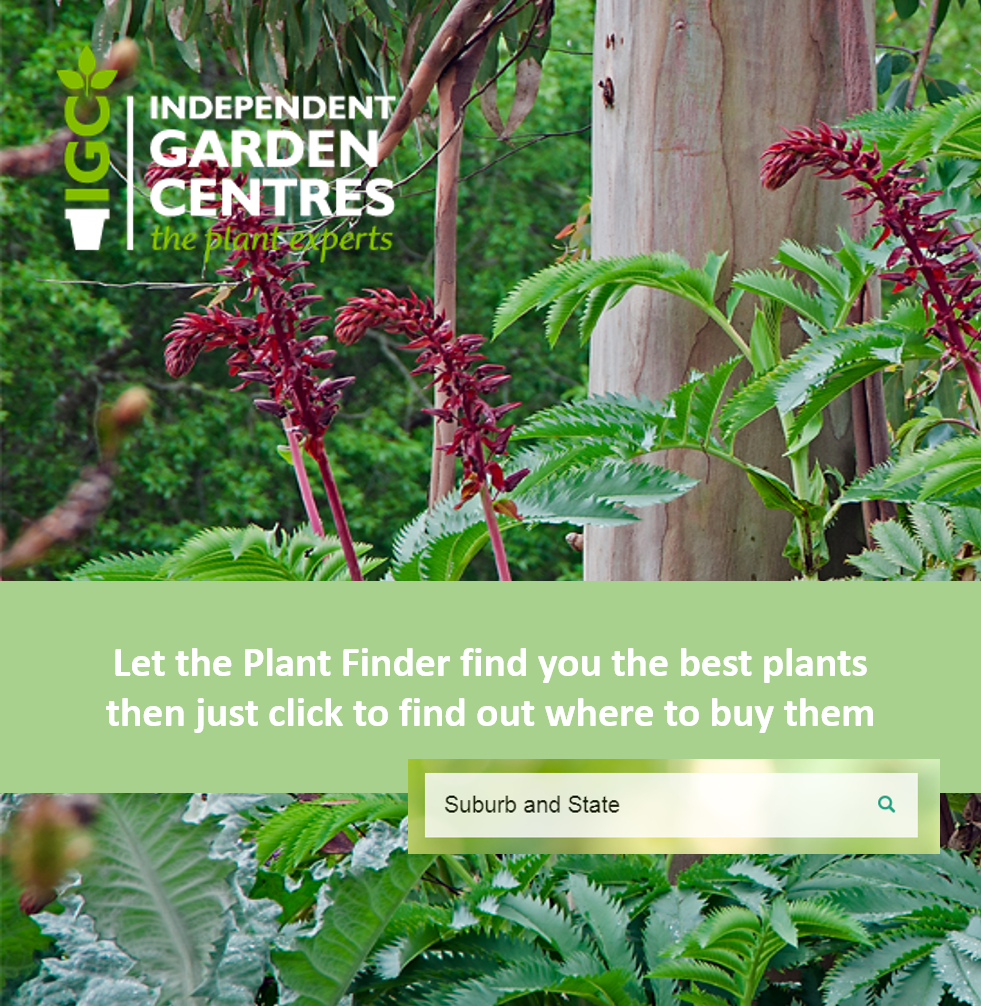 Plant Finder Smart Water Advice